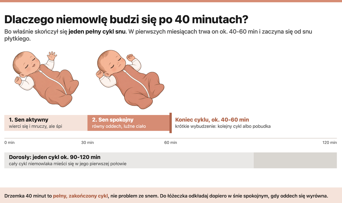Dlaczego niemowle budzi się po 40 minutach?